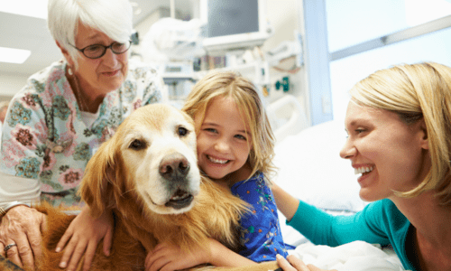 Living Minute | Animal Therapy & Children