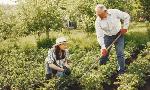 Living Minute | Gardening Can Help Prevent Osteoporosis and Other Diseases