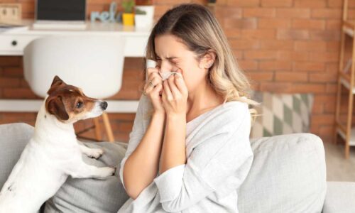 How To Deal With Pet Allergies? | Living Minute